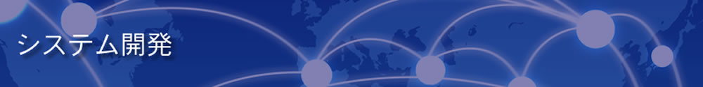 システム開発