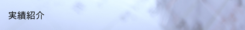 実績紹介