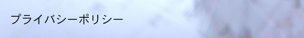 プライバシーポリシー